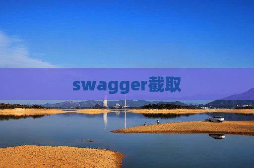 swagger截取